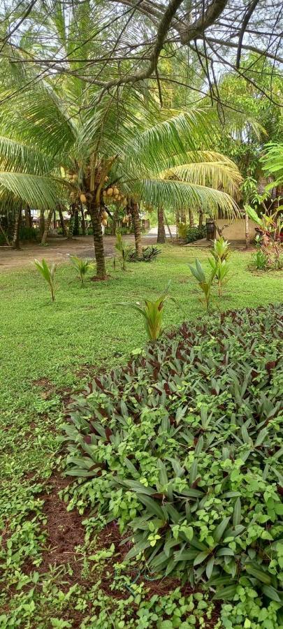 Selong Belanak Bungalows エクステリア 写真